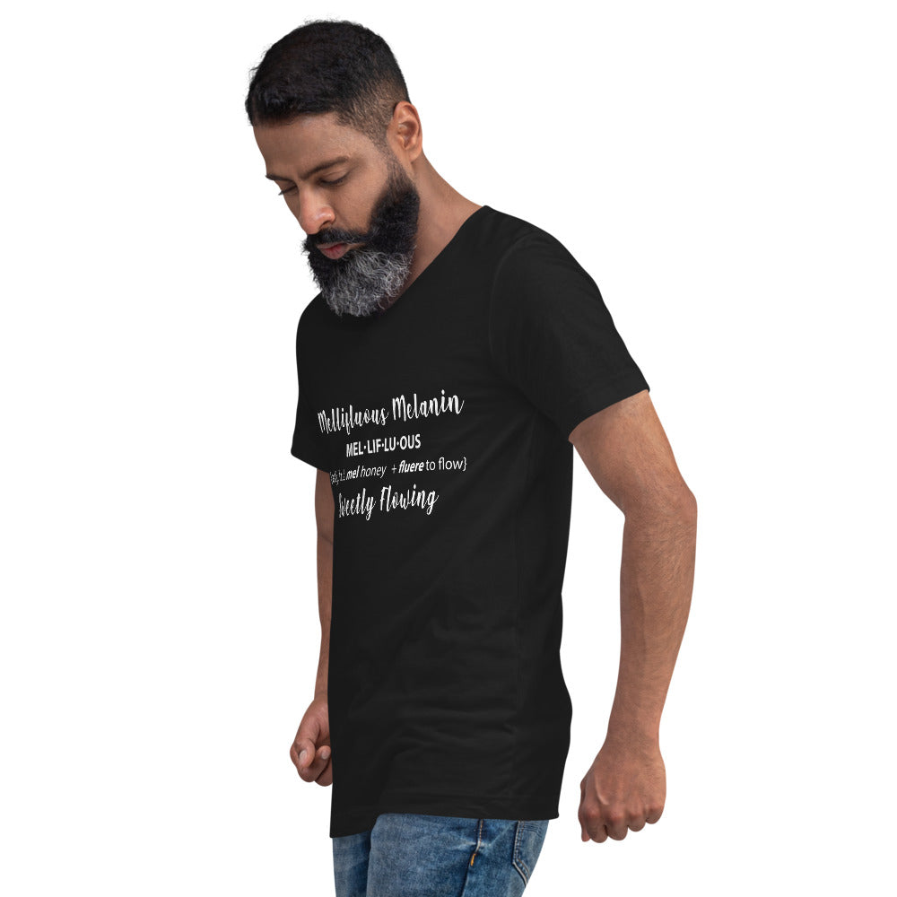 Unisex Short Sleeve V-Neck T-Shirt